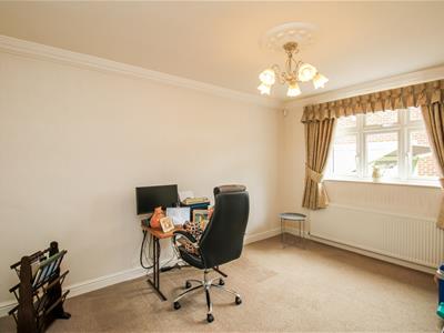Picture 15